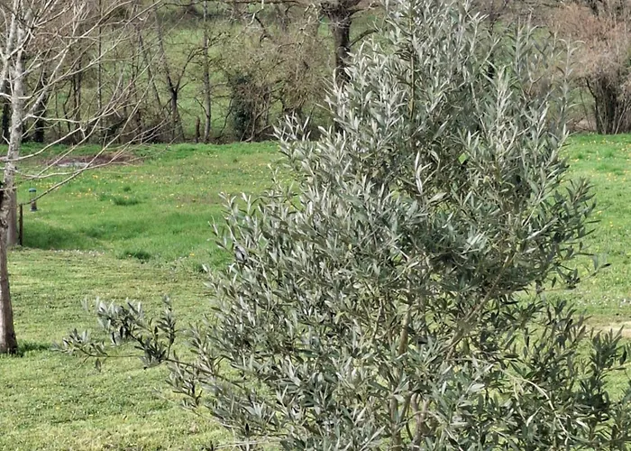 Chez Marie Le Pallet